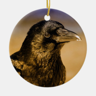 Raven Crow Gothic Fantasy Black Bird Natuur Keramisch Ornament