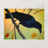 Raven De Plaisir Sur Carte Postale De Branche (Devant)