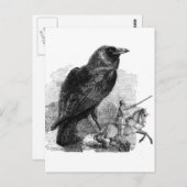 Raven en de Ridder Briefkaart (Voorkant / Achterkant)