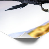 Raven est en vol ensemble photo imprimé (Coin)