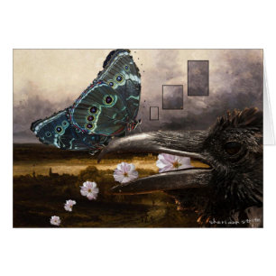Raven et papillon