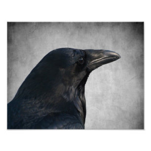 Raven Glamor Shot Foto Afdruk