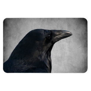 Raven Glamor Shot Magneet