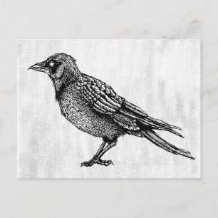 Raven Gothic Black en White Horror Ink Tekening Briefkaart
