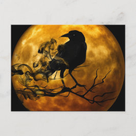 Raven in de nacht briefkaart