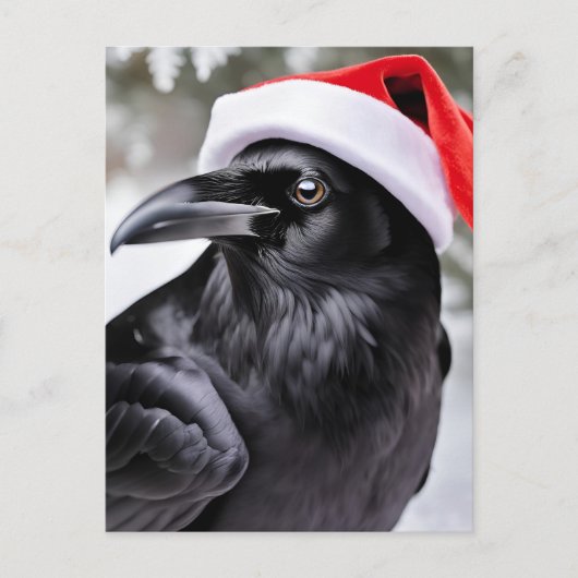 Raven in een kerstmuts briefkaart (Voorkant)