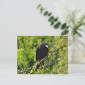 Raven in het Briefkaart van de bomen (Staand voorkant)