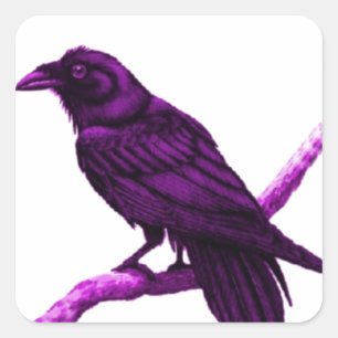 Raven in Paarse cadeaus van Sharles Vierkante Sticker