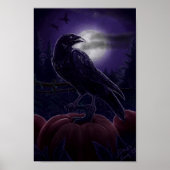Raven in Pumpkin Patch Poster (Voorkant)