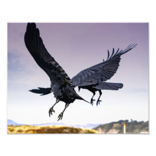 Raven is onderweg en fotoafdrukken foto afdruk