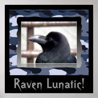 Raven Lunatic ! Affiche