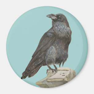 Raven Magneet