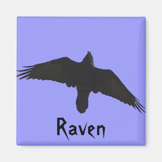 Raven Magnets Magneet (Voorkant)