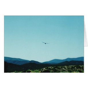 Raven Mountains kaart