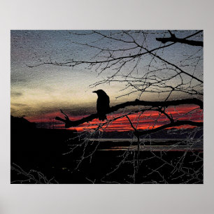Raven op de boom op zonsondergang poster