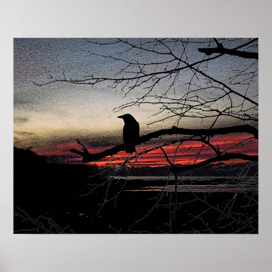Raven op de boom op zonsondergang poster (Voorkant)