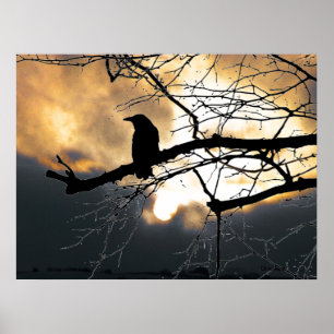 Raven op de boom poster