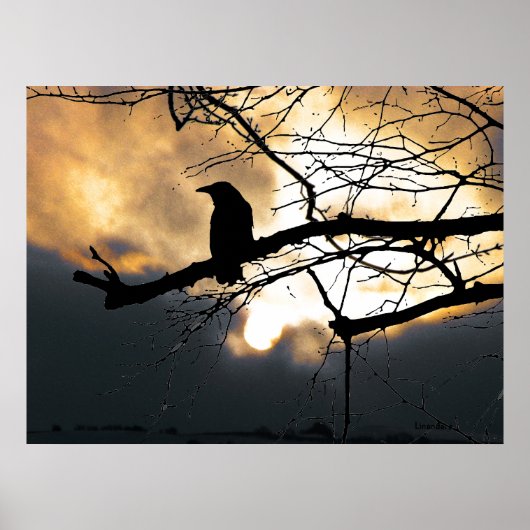 Raven op de boom poster (Voorkant)