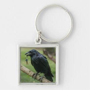 Raven op een tak met sleutel sleutelhanger