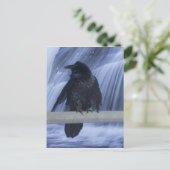 Raven over een waterval briefkaart (Staand voorkant)