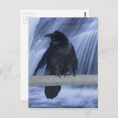Raven over een waterval briefkaart (Voorkant / Achterkant)