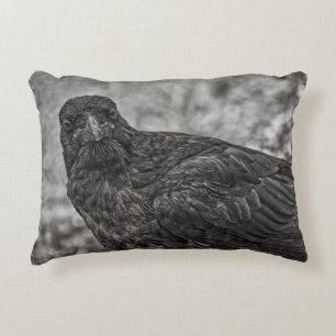 Raven P9239 Accent Kussen