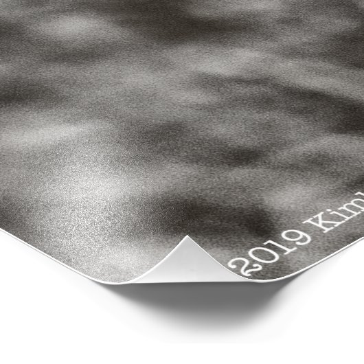 Raven P9239 Foto Afdruk (Hoek)