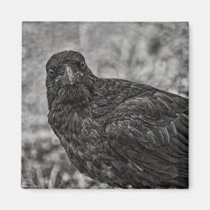 Raven P9239 Magneet