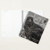 Raven P9239 Planner (Display)