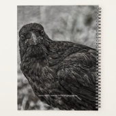 Raven P9239 Planner (Achterkant)