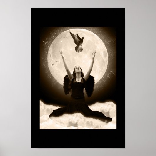 Raven Poster (Voorkant)