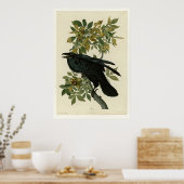 Raven Poster (Keuken)
