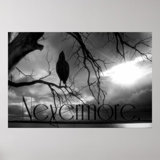Raven Poster - Nevermore Sunbeams Tree B&W (Voorkant)