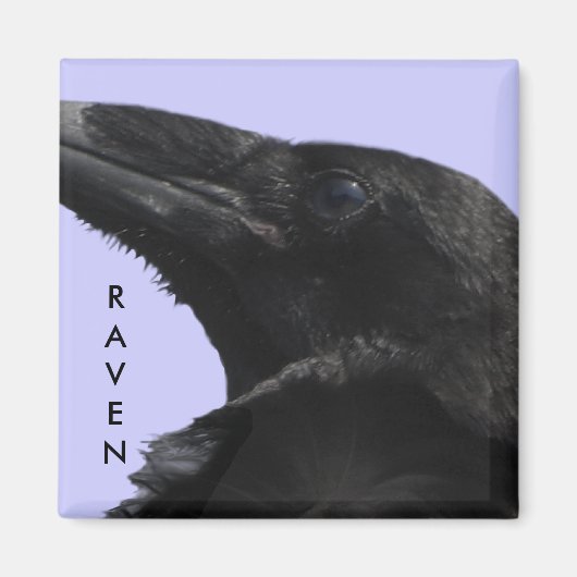 Raven profiel magneet (Voorkant)