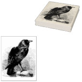 Raven Rubberstempel (Gestempeld)