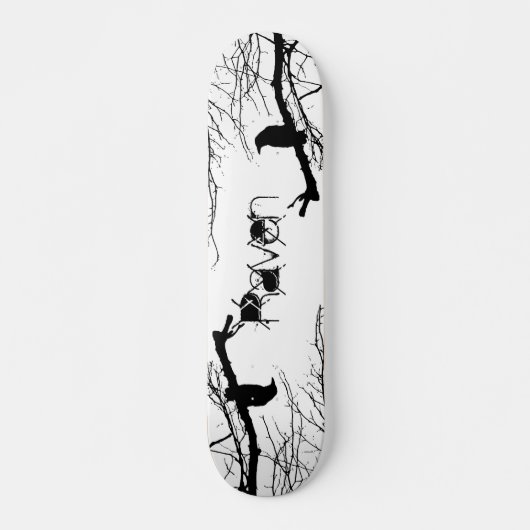 Raven Skateboard (Voorkant)