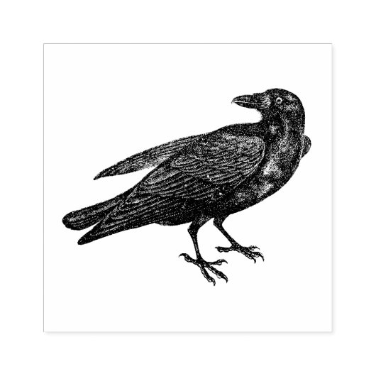 Raven | Stempel (Afrduk)