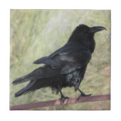 Raven Tegeltje (Voorkant)