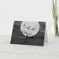 Raven tegen de Volle maan