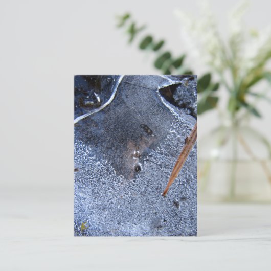 Raven Totem, Black Bird Corvid Briefkaart (Staand voorkant)