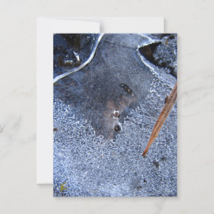 Raven Totem, Zwarte Vogel Corvid Briefkaart