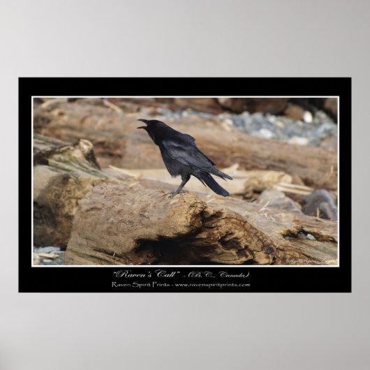 "RAVEN'S CALL" Fotoprint Poster (Voorkant)