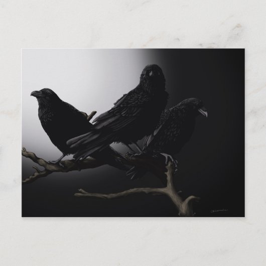 Ravens déplaisants dans la carte postale au clair (Devant)