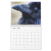 Ravens du calendrier Lumière 2022 (Mar 2027)