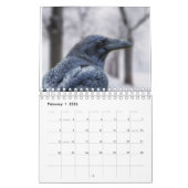 Ravens van de lichte Kalender 2022 (Feb 2026)