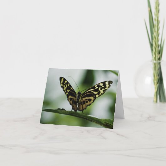 Ravi de vous rencontrer Carte (Devant)