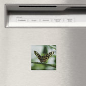 Ravi de vous rencontrer Magnet (In Situ (Lave-vaisselle))