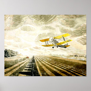 Ravilious, beroemd schilderij Tiger Moth Poster