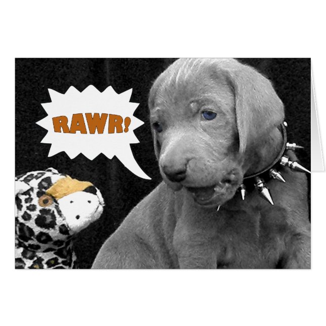 RAWR (Voorkant Horizontaal)