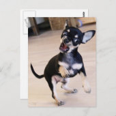 Rawr Briefkaart (Voorkant / Achterkant)